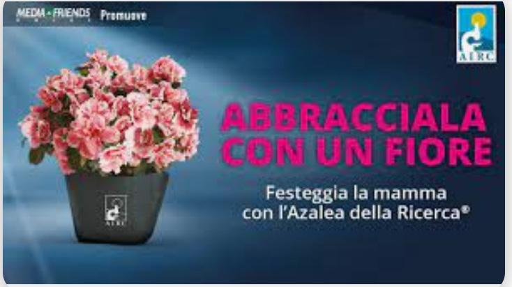 L’azalea della ricerca a favore dell’AIRC, domenica 14 maggio a Portoferraio in Piazza Cavour a cura del Lions Club Isola d’Elba