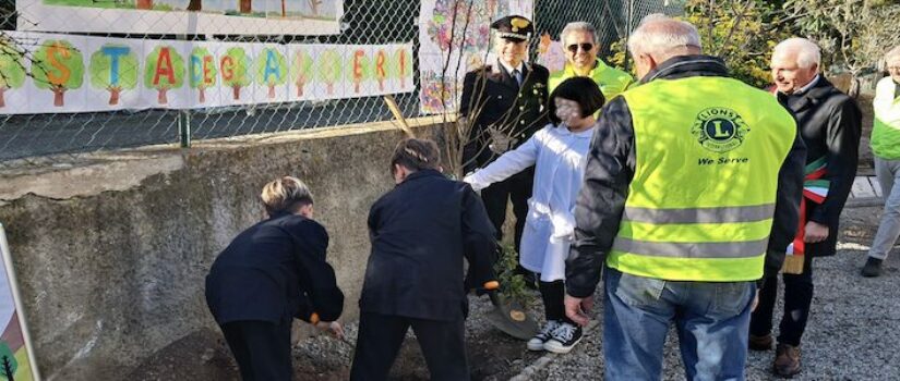 A Casa del Duca la messa a dimora di alberi autoctoni